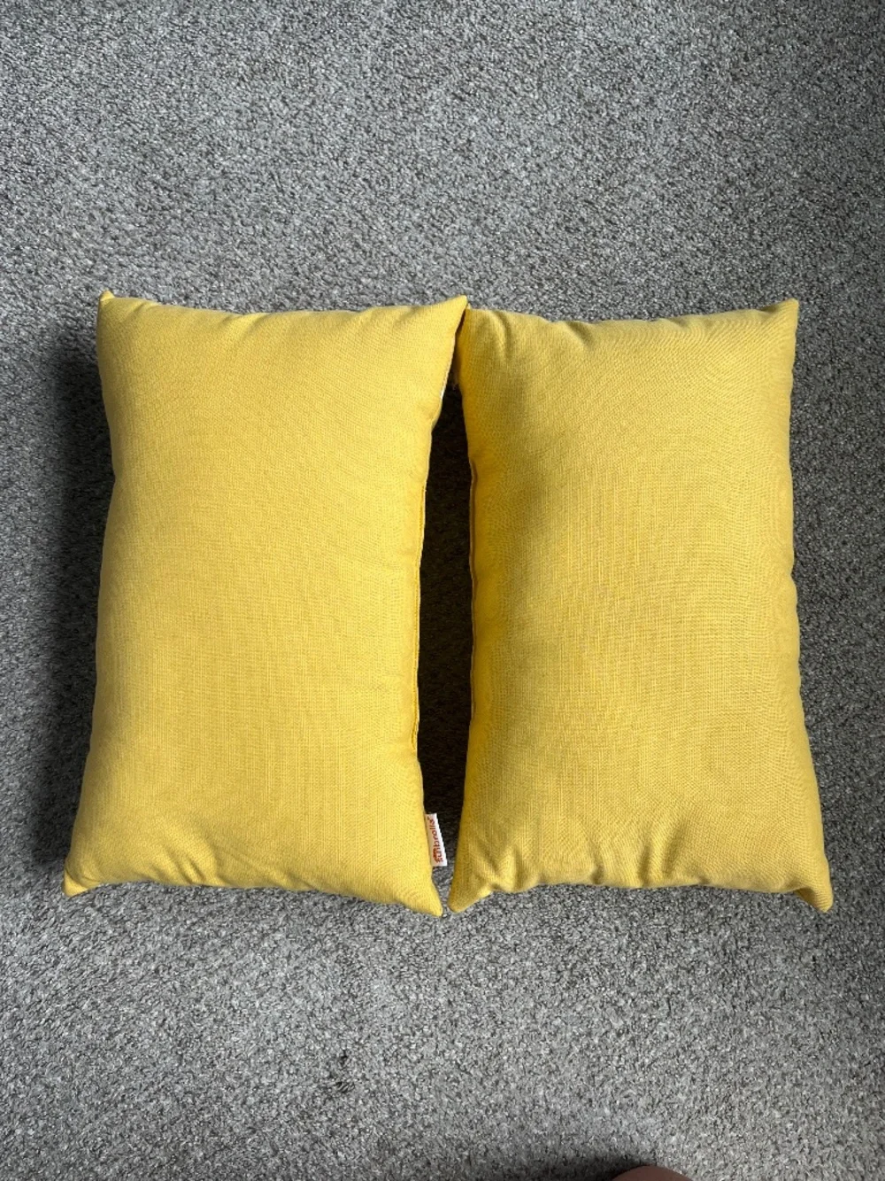 2 Sunbrella pillows